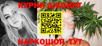 сатива Будённовск