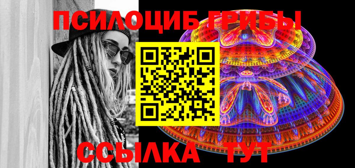 Алапаевск  Псилоцибиновые грибы Psilocybe  Вход с VPN 