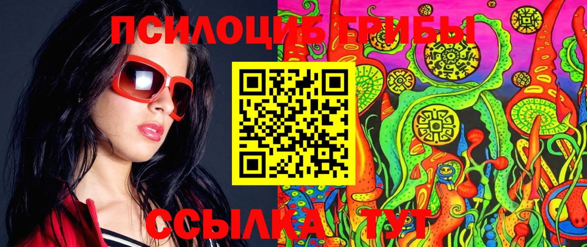 Галлюциногенные грибы Psilocybe Алапаевск